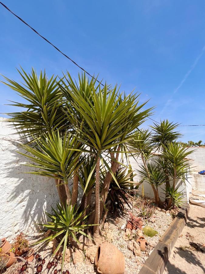Apartment Galana Les Cases d'Alcanar